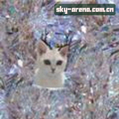 王磊